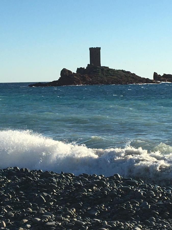 Appart T2 Saint Raphael - Valescure Apartment Bagian luar foto